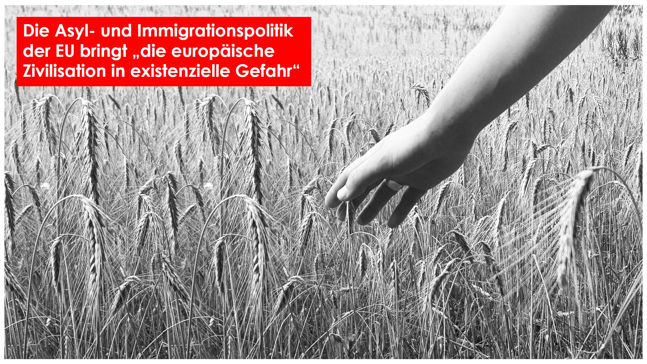 The last chair: Documenting Europe